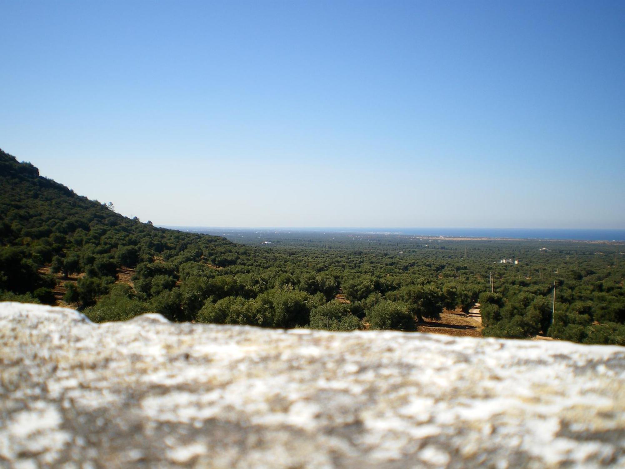 Masseria Morrone Ostuni Eksteriør bilde