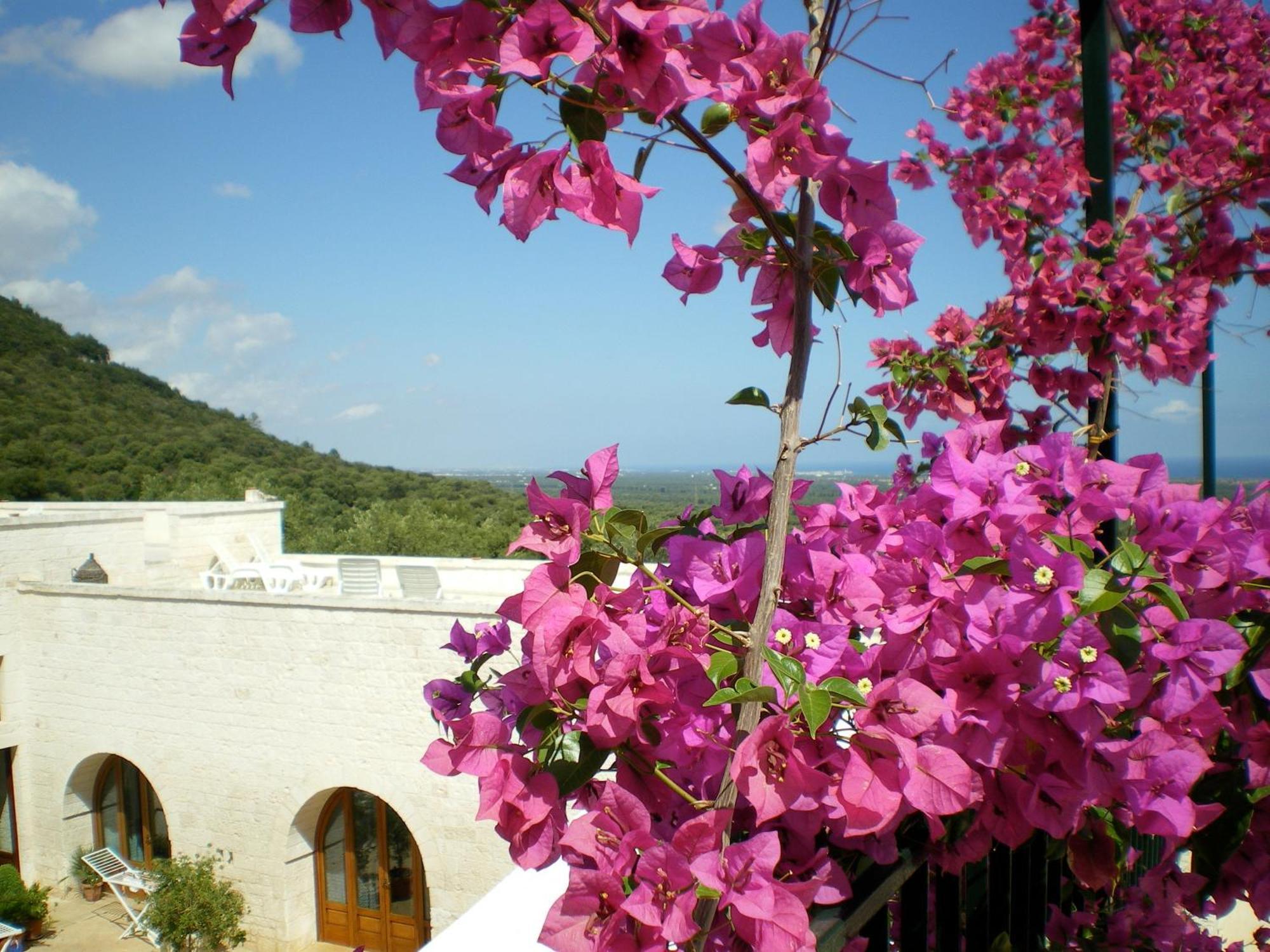 Masseria Morrone Ostuni Eksteriør bilde