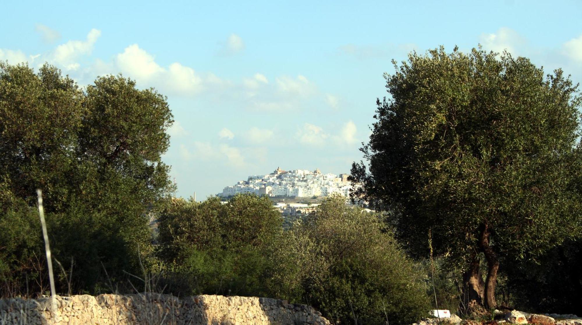 Masseria Morrone Ostuni Eksteriør bilde